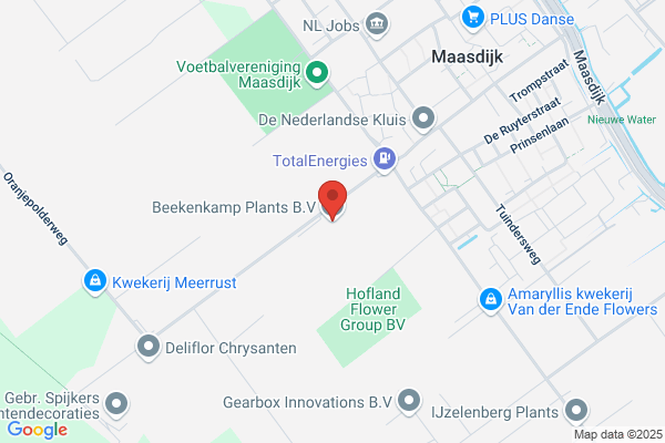 Beekenkamp AG
