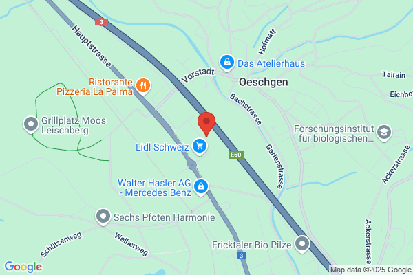 AutoPneu Schweizer