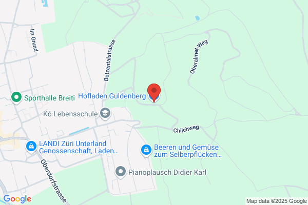Buelachguss AG