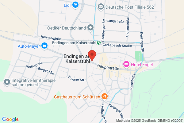 Baechli Metallabtrennungen