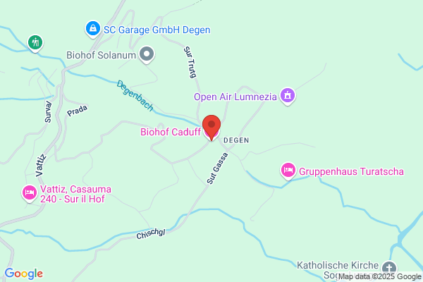 Gaudenz Caduff