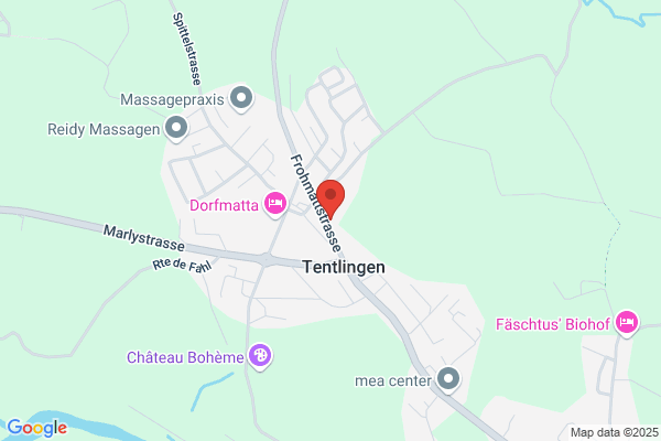 Landi Sense Oberland Tentlingen