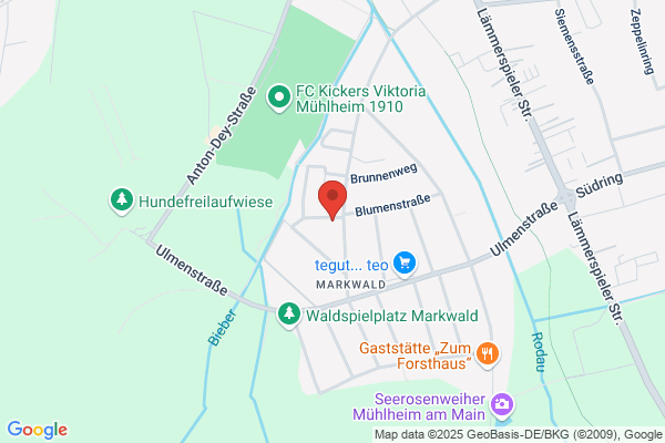 Transmontana Treuhand AG c/o Advokaturbuero H. Daescher