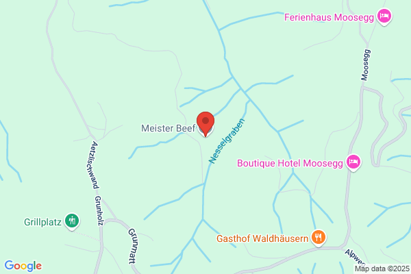 Meister Nutzfahrzeughandel