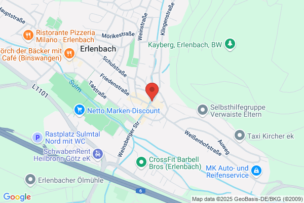 earsinn gmbh
