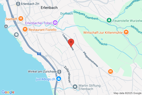 Prointro GmbH