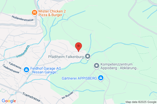 A.R. Pertusini Consulting AG