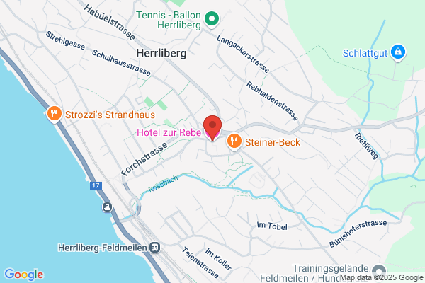 Hotel-Restaurant zur Rebe