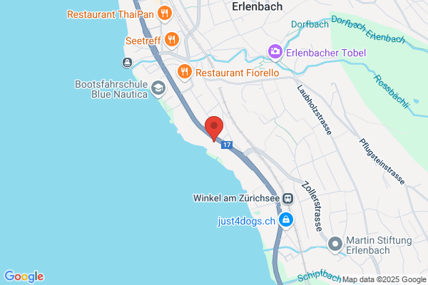 mediation-zuerichsee