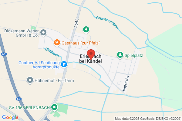 Th. Buser Papier + Druck