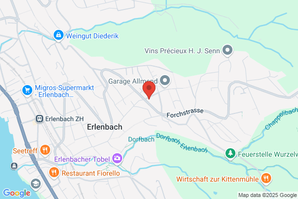 Rothenberger Consulting