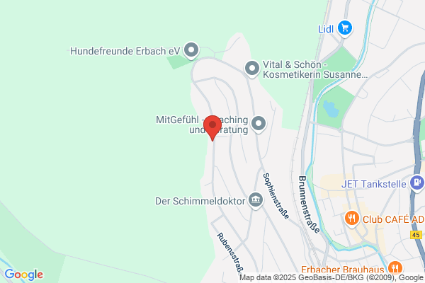 HCC Consulting und Co
