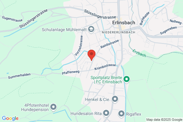 Lienhard Buchhaltung