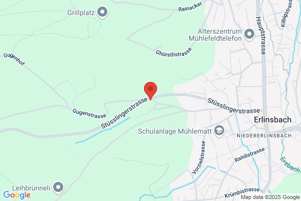Karl Niederhauser und Co