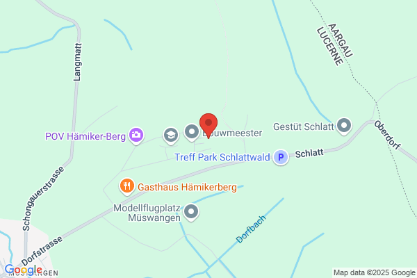 Hundetraining 5A