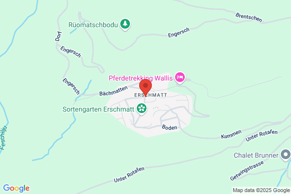 Restaurant Bergheim
