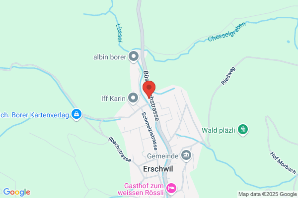 Iwan Borer