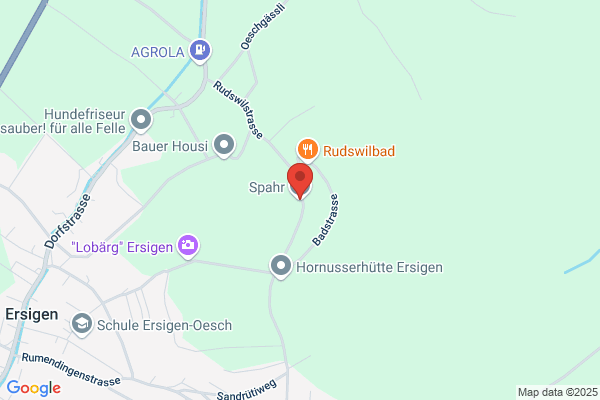 SPA Agentur