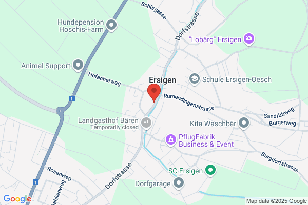 supportstar* by Wuethrich Smart Solutions