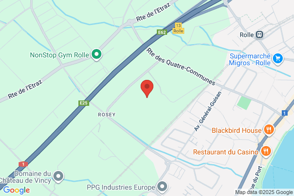 Institut Le Rosey