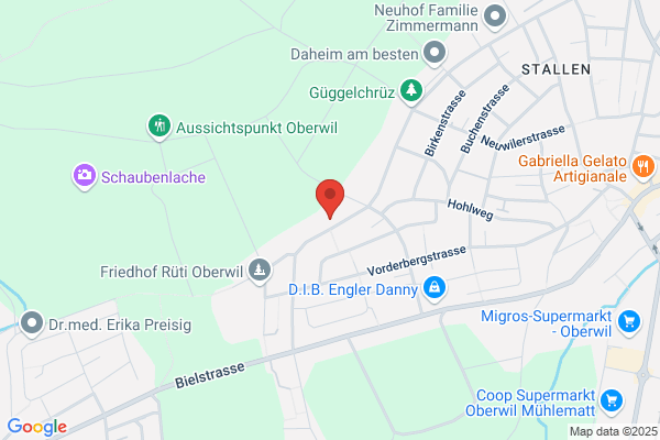 Vogel Kaminfeger AG