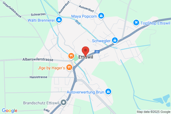 Argus Treuhand und Informatik