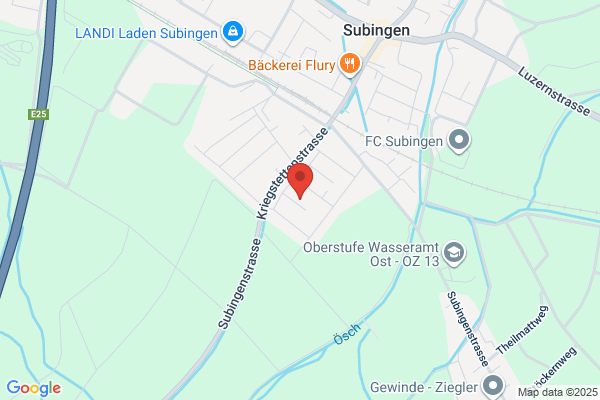 Guldimann GmbH