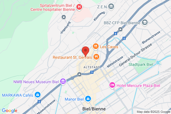 Bernina-Service