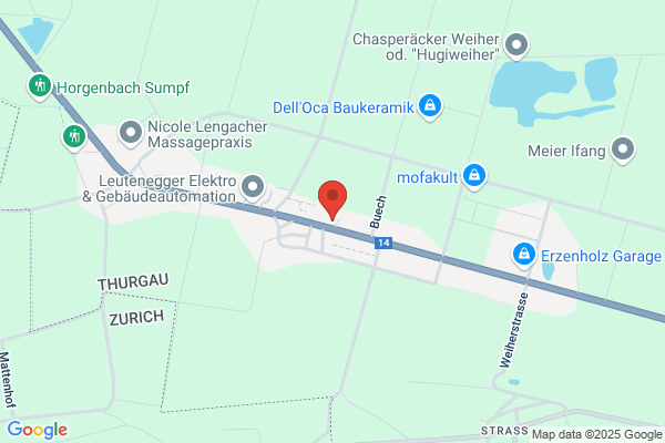 Liechti AG Erzenholz