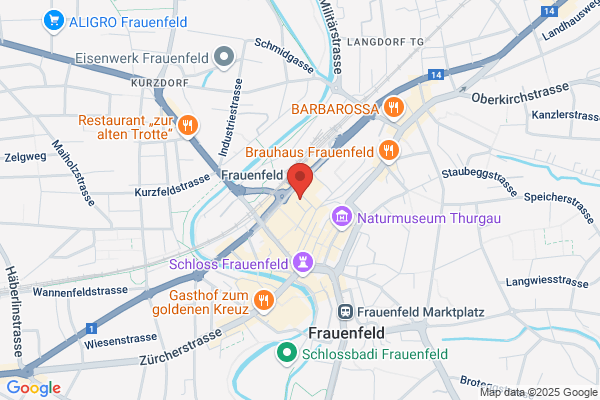 FRAUCHIGER Management Service