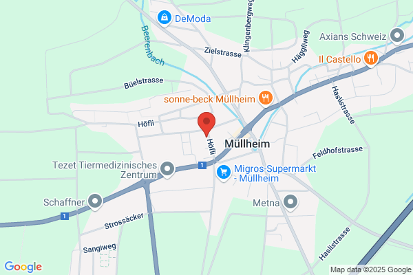 niemehrallein GmbH