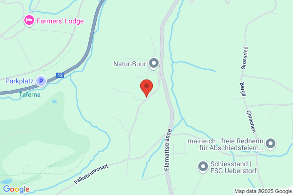 Nexus Generalunternehmung AG