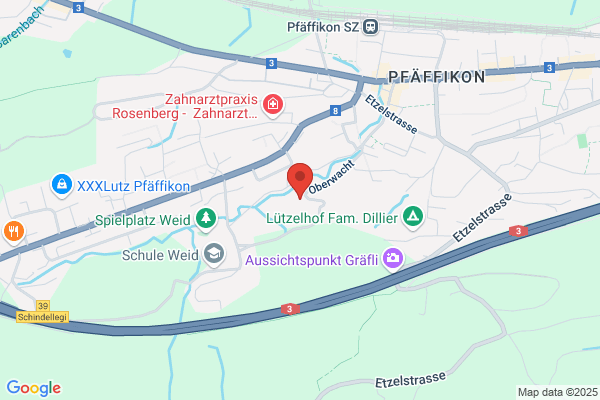 Hermann Wessner