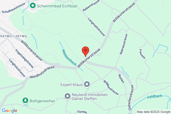 Engler Organisation AG