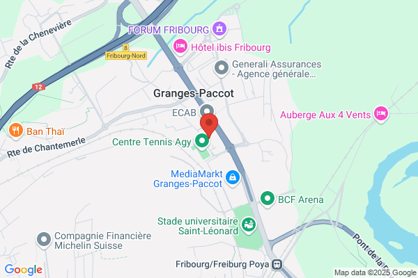 Gravo-Service A. Luethi