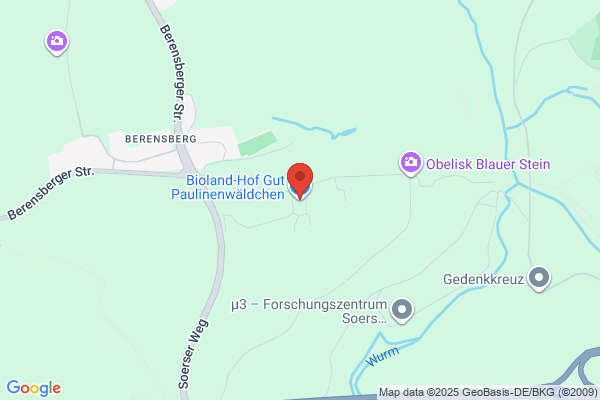 Pfiffikus Dienstleistungen