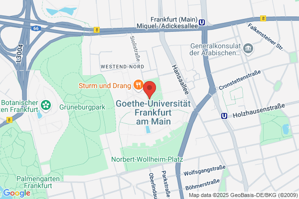 Liebmann Surveys und Data Engineering