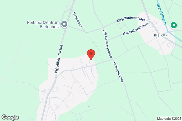 R. Wegmann AG Kindhausen ZH