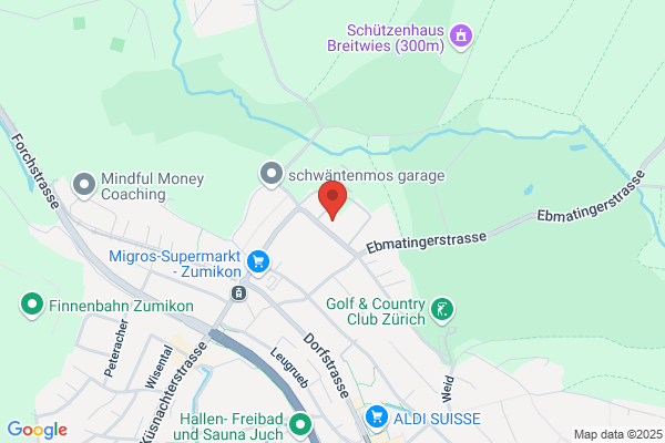Inter-Community School Zurich