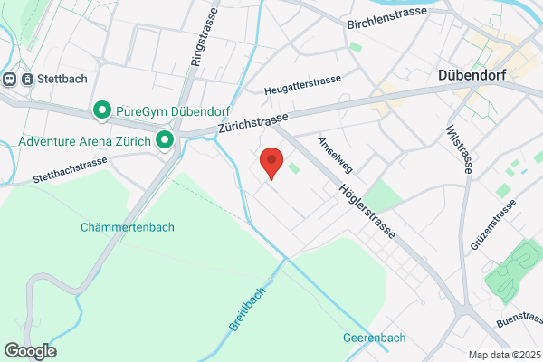 Primarschule Hoegler