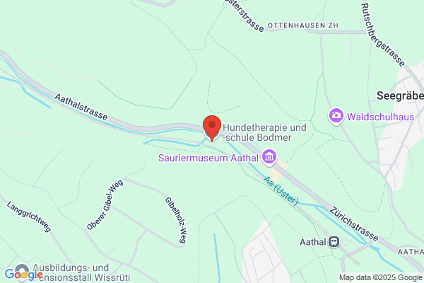 Hundeausbildung M. Bodmer