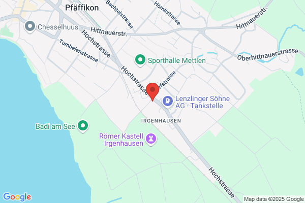 Wiesendanger & Partner