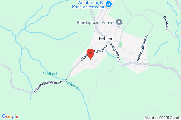 Regionaler Krankenpflege- verein Gilgenberg