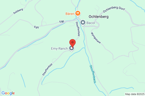 Eggenschwiler Consulting