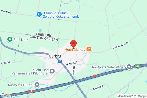 Artflorspycher Blumengeschäft Mühleberg und Gurbü