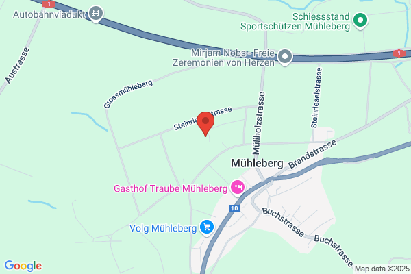 BK Trans Kneuss