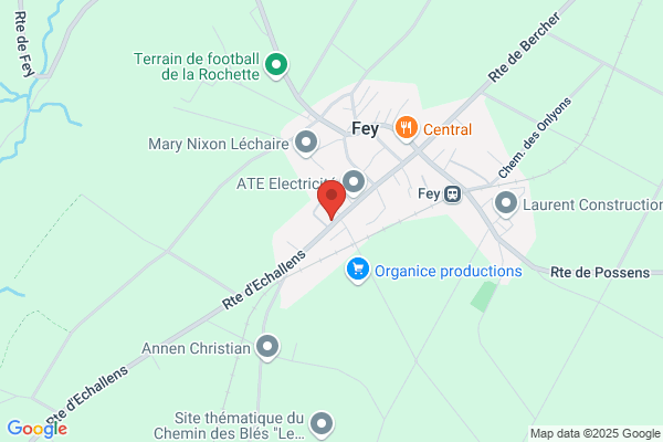 Association des amis de la FIP