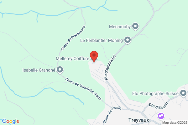 Le Ciseau d'Or
