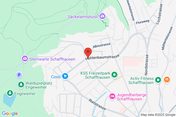 Hohlenbaum Garage