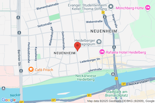 netsway.ch Duelli, Junghans, Kummer, Rueegg